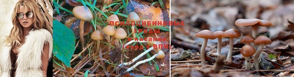 гашишное масло Белоозёрский