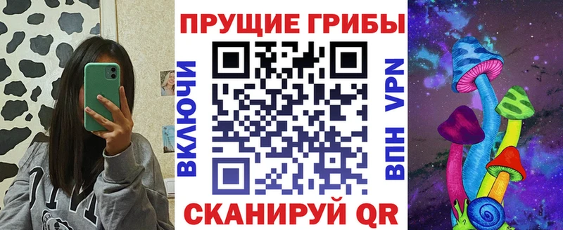 Галлюциногенные грибы Psilocybine cubensis  Волжск 